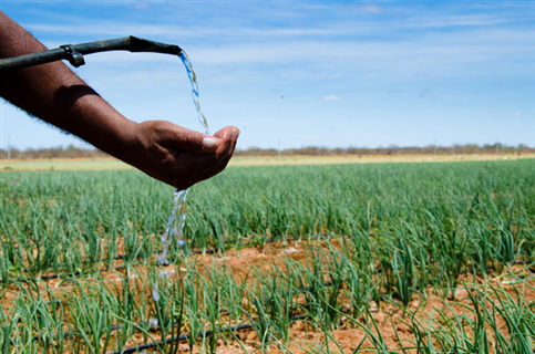 Recurso de R$ 38 milhões serão empenhados em irrigação no Nordeste
