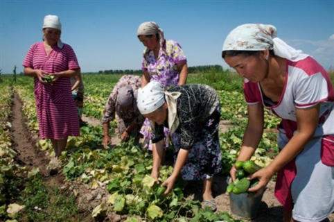 Selo de agricultura familiar atinge 100 mil trabalhadores